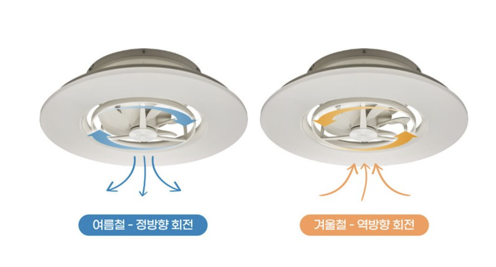 도시샤 서큐라이트 장점