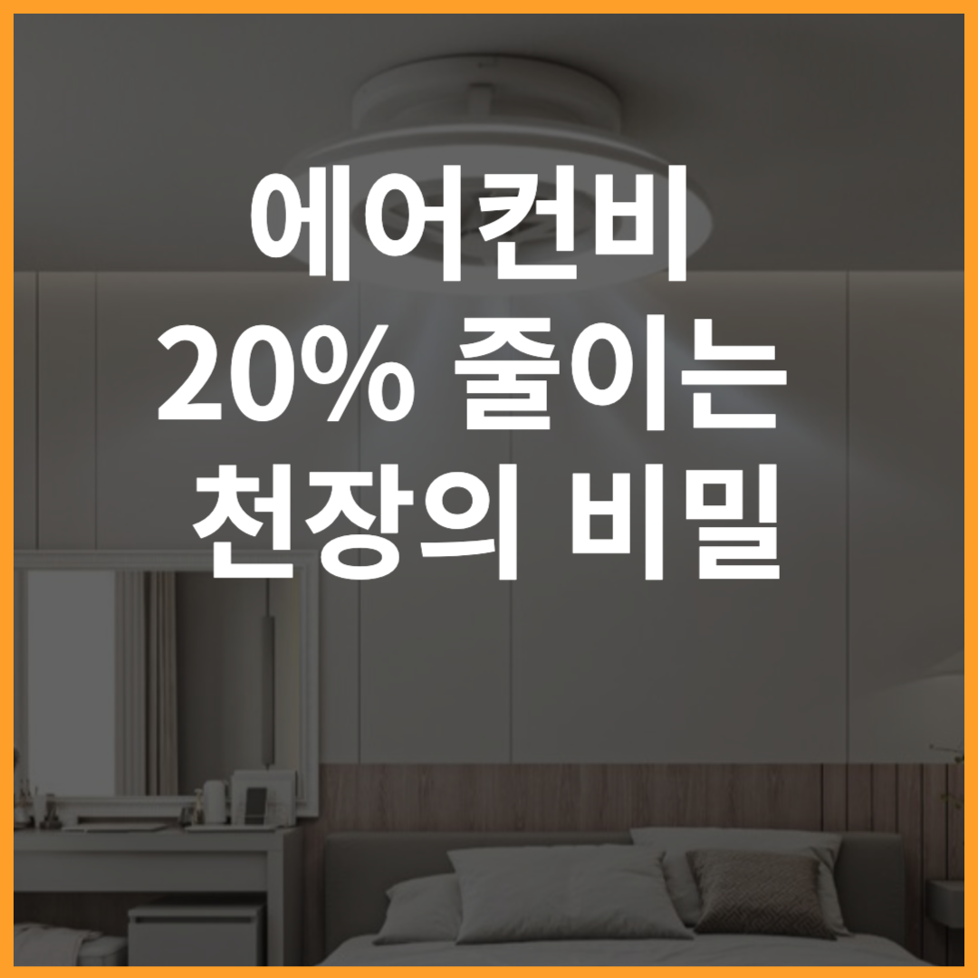 도시샤 서큐라이트